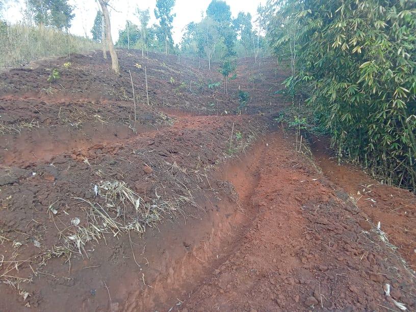 C:\Users\Lavinia Pde\Downloads\WhatsApp Image 2023-03-29 at 17.22.38.jpeg